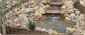 Landscape Design and Installation
